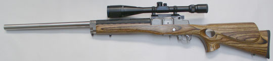 Ruger Mini 14 or Mini 30 Stainless steel Ranch rifle